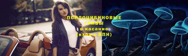 гидропоника Богданович