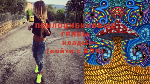 гидропоника Богданович