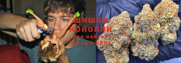 гидропоника Богданович