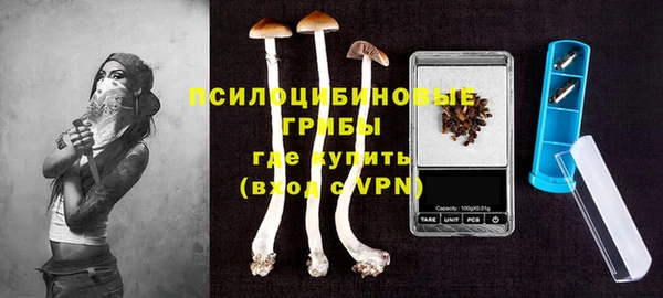 гидропоника Богданович