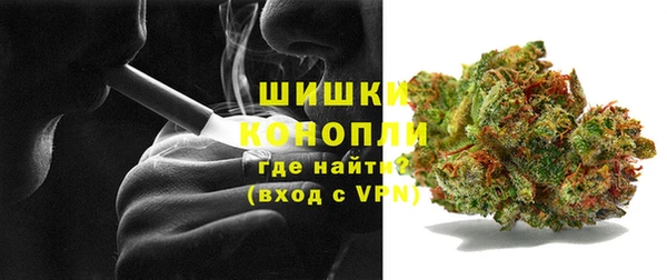 гидропоника Богданович