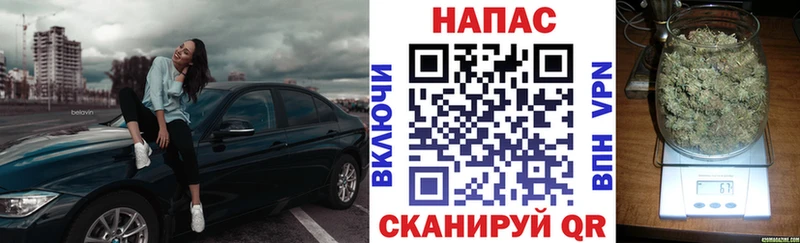 купить  цена  МЕГА ТОР  МАРИХУАНА планчик  Циолковский 